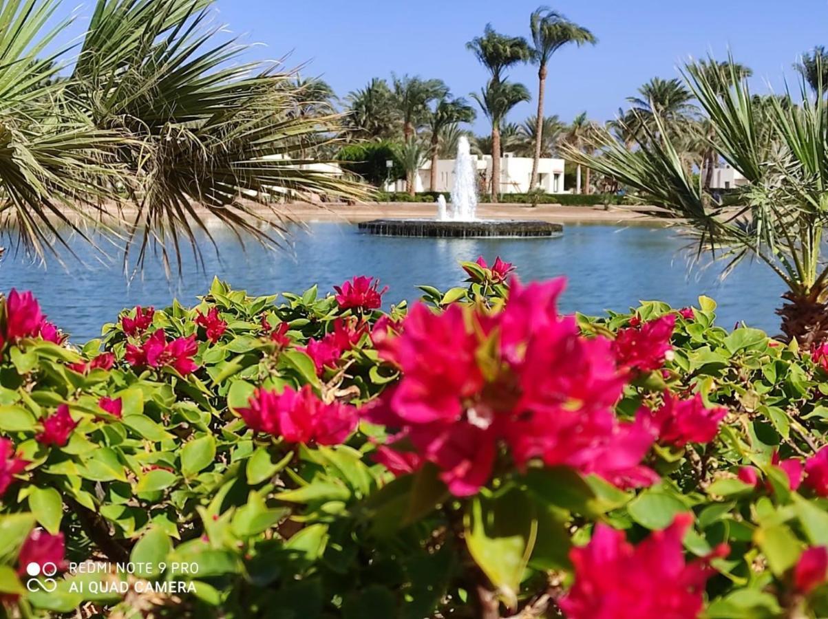 Pharaoh Azur Resort Hurghada Ngoại thất bức ảnh