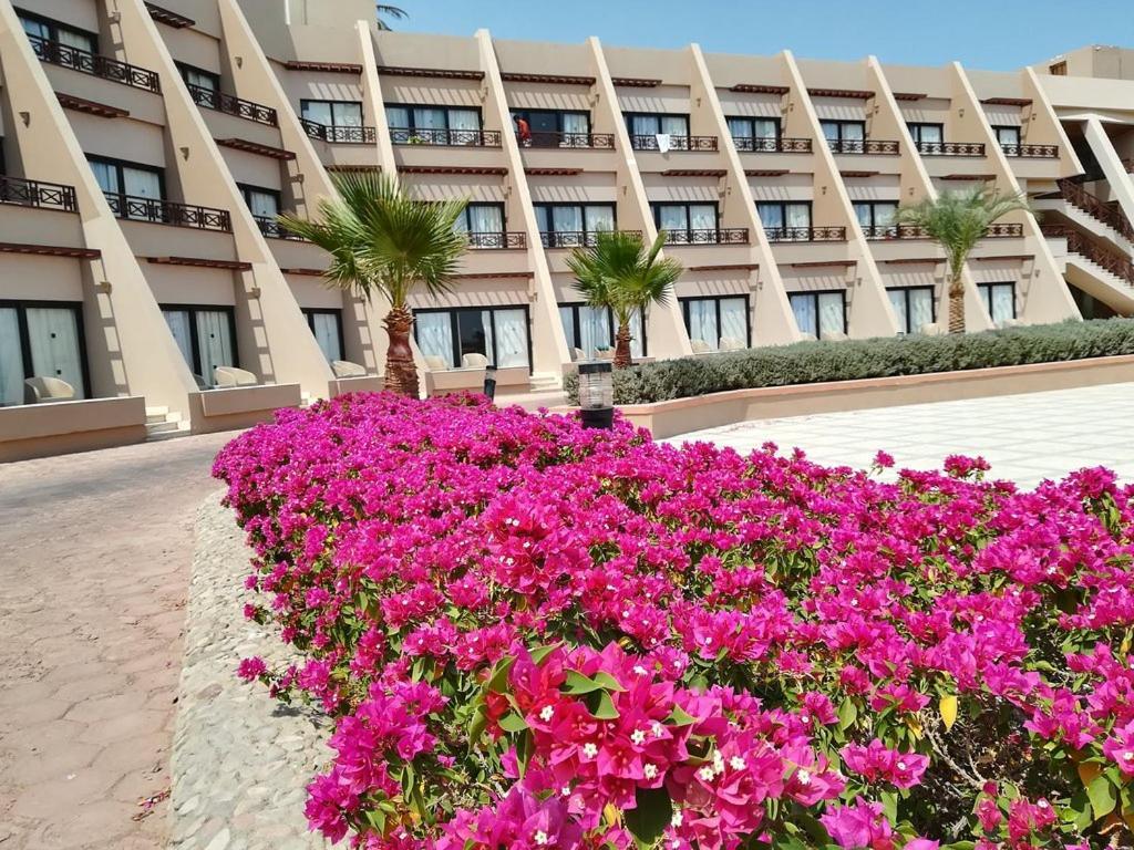 Pharaoh Azur Resort Hurghada Ngoại thất bức ảnh